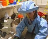 Ebola: Epidemia a dus la cresterea preturilor la alimente
