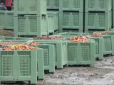 Boxpaletii din plastic solutiile perfecte pantru afacerile industriale