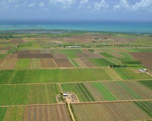 Qatarul vrea sa investeasca in agricultura romaneasca