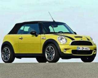 Mini a fost aleasa
