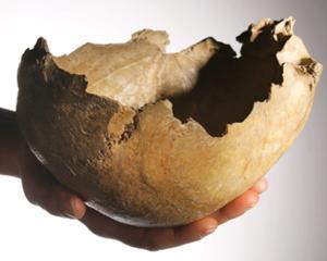 Oamenii din Epoca Glaciara foloseau craniile semenilor pe post de cupe