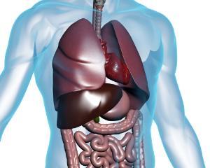 Medicii din Edinburgh vor utiliza imprimantele 3D pentru a realiza celule stem