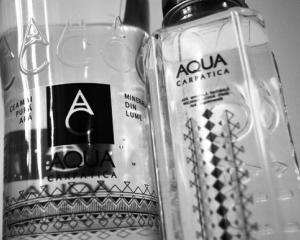 Website-ul AQUA Carpatica, realizat de Grapefruit