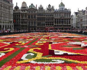 La Bruxelles, junioarele au castigat trei medalii de argint si una de bronz