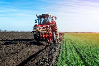 3 abilitati de care ai nevoie ca sa-ti deschizi o afacere de succes in agricultura