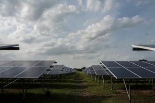Ascensiunea agrivoltaicii: combinarea energiei solare cu agricultura in India