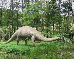 Specialistii au descoperit fosilele celui mai vechi dinozaur cunoscut