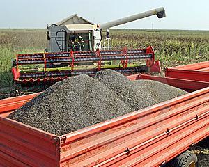 Romania va inregistra o productie record de floarea soarelui in acest an