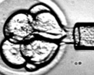 Cells4Life lanseaza in Romania doua parteneriate strategice