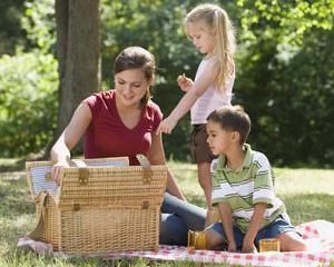 Spatii amenajate pentru picnic si gratare in Bucuresti