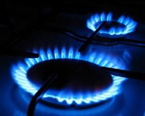GDF SUEZ Energy Romania: Pretul gazului trebuie marit