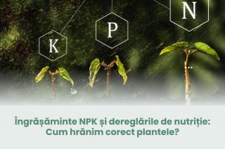 Ingrasaminte NPK si dereglarile de nutritie: Cum hranim corect plantele?