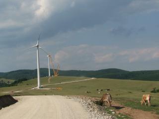 General Electric va furniza turbine pentru doua proiecte eoliene din Romania cu o capacitate de 35 MW
