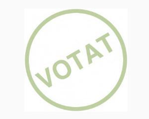 9,05% prezenta la vot pana la ora 10