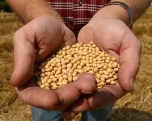 Agricultura: Romania si Polonia, doua tari tot mai importante pentru Monsanto