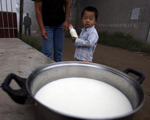 Chinezii au creat vacile transgenice al caror lapte este similar cu cel de san