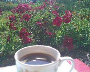 10 motive intemeiate pentru a bea CAFEA