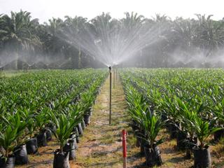 Bani de la UE pentru agricultura ecologica