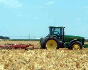 Agricultura: Mai multe cereale si fructe, mai putine legume