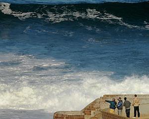 In nordul Californiei, unii fug de tsunami, altii fac surfing