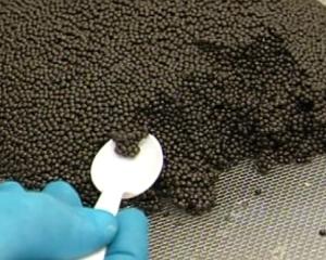 Cea mai mare ferma de caviar din lume se deschide in Abu Dhabi