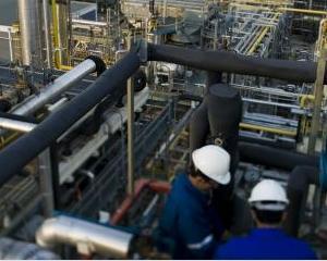 Consiliul Concurentei amendeaza companiile petroliere cu 3% din cifra de afaceri