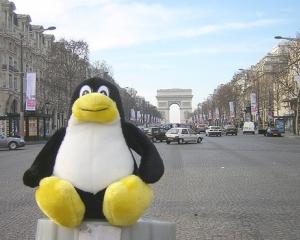 INFOGRAFIC: Linux, dupa 20 de ani