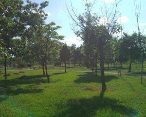 Mai trebuie 450 de hectare de spatiu verde in Bucuresti pentru ca orasul sa indeplineasca normele europene