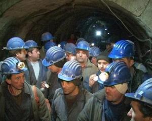 ElDore Mining Corporation va cumpara, pentru 15 milioane de euro, Mina Baita
