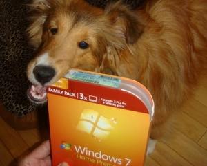 Windows 7 va depasi Windows XP, devenind cel mai popular sistem de operare