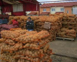 Tabara despre scumpirea cartofilor: Nu este din cauza eliminarii subventiei, ci a importurilor fara cap