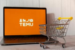 Impactul magazinului online chinezesc Temu asupra pietei globale: din ce magazine a preluat cota de piata?