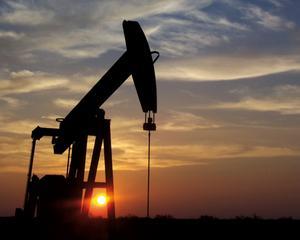  British Petroleum: Productia de petrol a Romaniei, 0,1% din totalul mondial