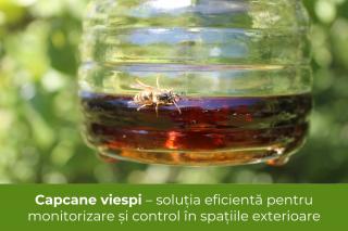 Capcane viespi - solutia eficienta pentru monitorizare si control in spatiile exterioare