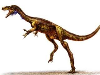Paleontologii au descoperit un mic dinozaur 