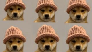 Dogwifhat si Shiba Inu incep saptamana ca fiind castigatori in universul monedelor Meme, in timp ce DOGE20 strange 2 milioane USD (P)