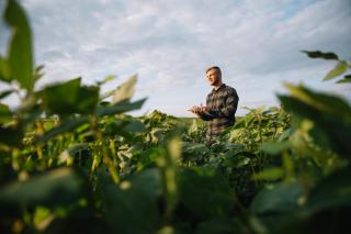 Top 5 afaceri agricole pe care le poti porni cu bani putini