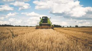 Peste 70% dintre romani nu ar lucra in agricultura, iar 50% nu si-ar lasa copiii sa urmeze cursurile unui liceu agricol