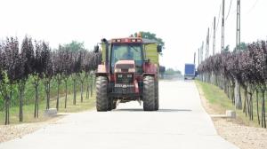 Ajutor de stat pentru reducerea accizei la motorina din agricultura si bani in schemele de plati directe din sectorul vegetal si zootehnic