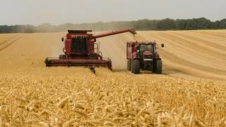 MADR si ASF cauta solutii pentru polite de asigurare destinate culturilor agricole