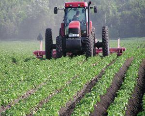 Agricultura este viitorul. Ce asteptari au fermierii de la UE in 2016