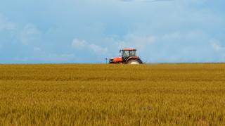 Tinerii fermieri pot beneficia de pana la 50 de hectare de teren concesionat din proprietatea statului