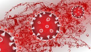 A inceput ancheta Organizatiei Mondiale a Sanatatii la Wuhan (China), orasul de unde a pornit pandemia de coronavirus