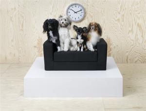 Colectie de mobilier pentru animalele de companie