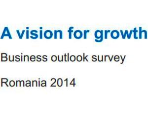 Ce-si propun companiile romanesti in 2014: Sa fie mai competitive