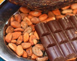 Cererea pentru ciocolata a determinat cresterea pretului la cacao