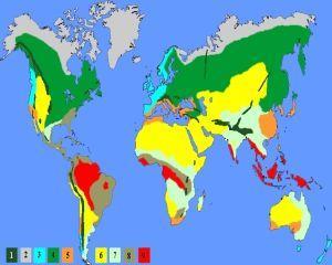 Ce anunt au facut expertii NASA despre sfarsitul civilizatiei umane