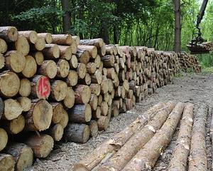 Brazii confiscati de Craciun: Un nou record in acest an