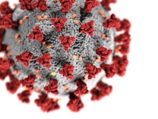 Un coronavirus antic i-ar fi infectat pe stramosii nostri in urma cu 25.000 de ani