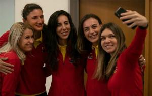 Romania invinge Cehia cu 3-2 si se califica in semifinalele Fed Cup pentru a doua oara in istorie